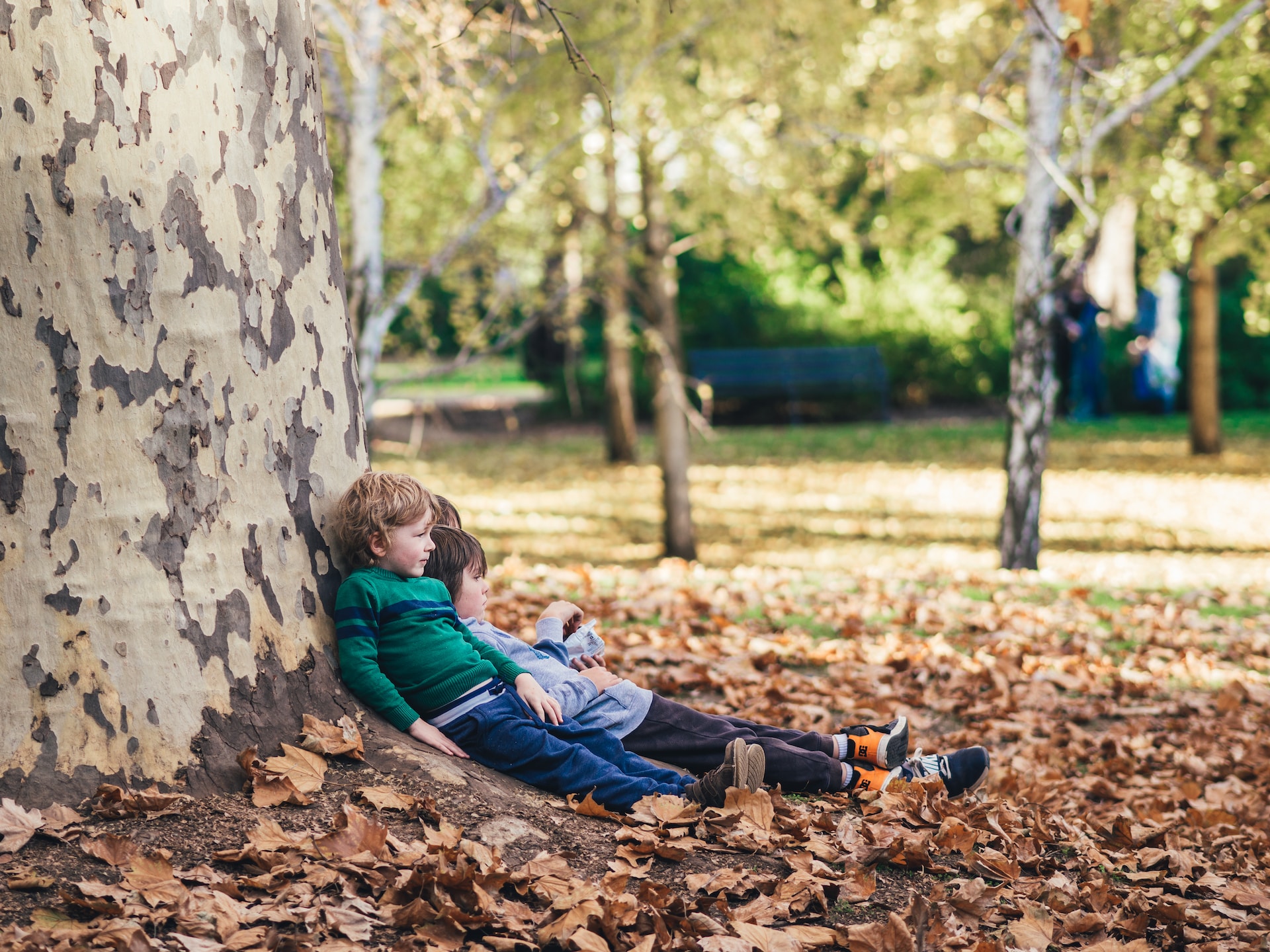 Child in a garden