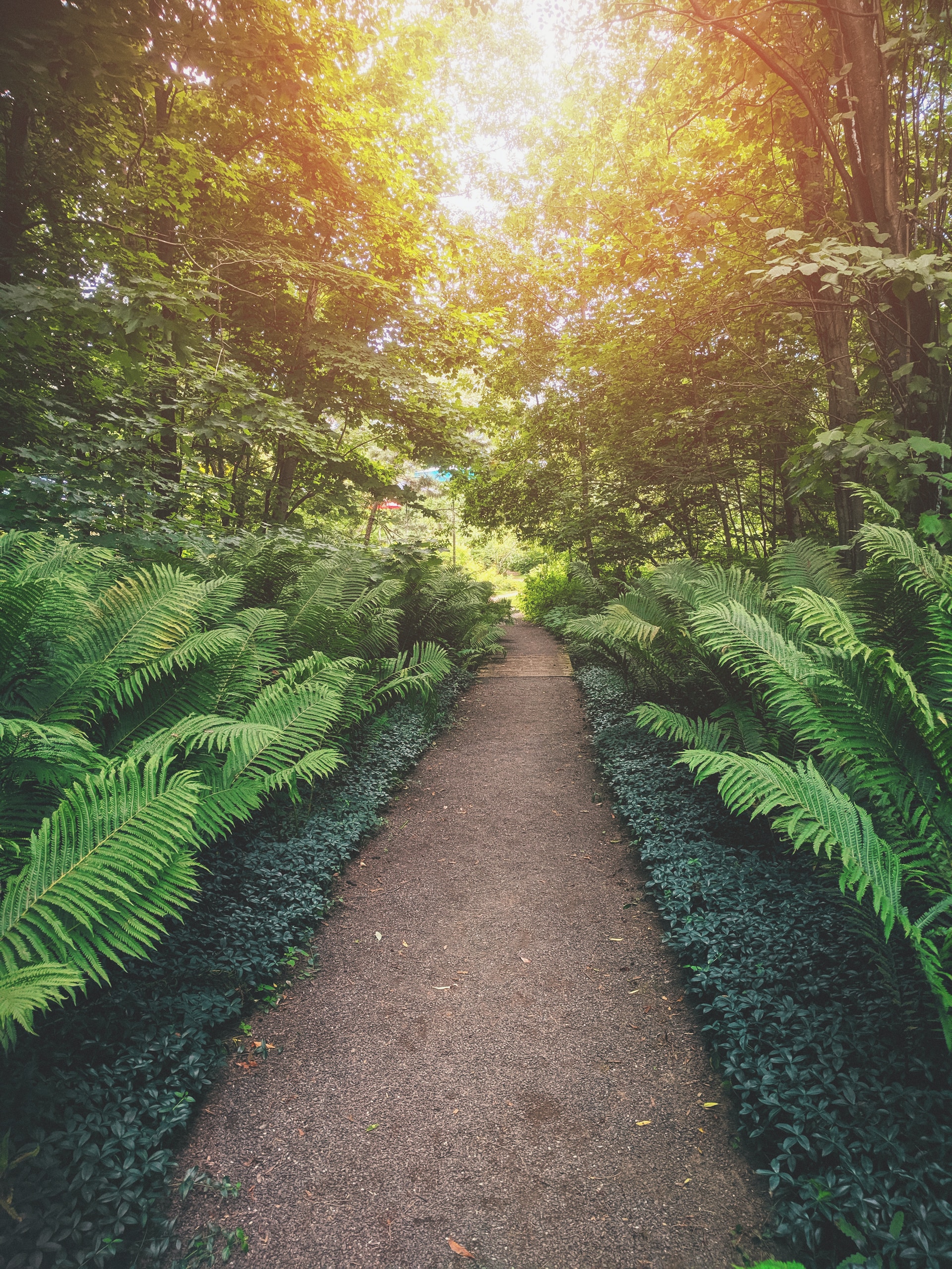 garden path