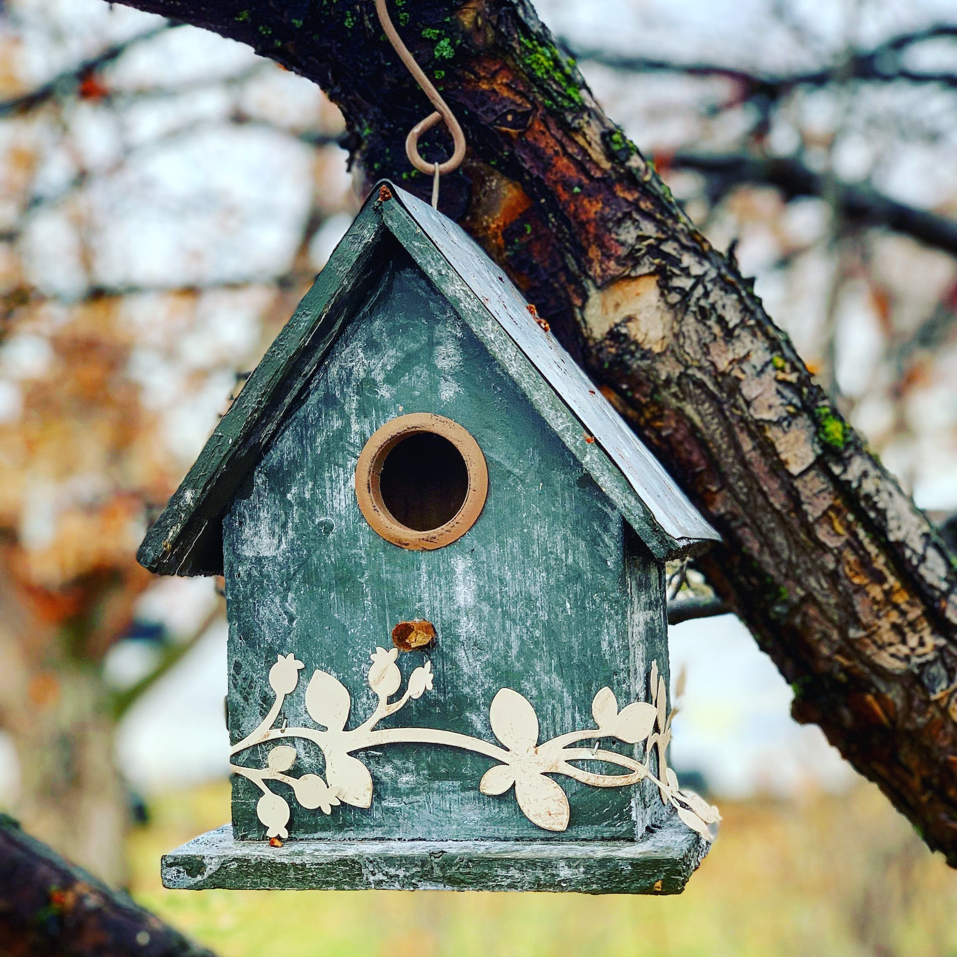 rustic bird feeder